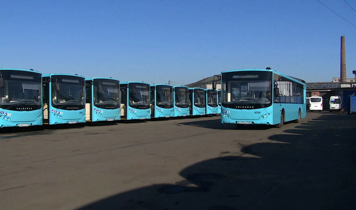 390 avtobusov postavili v Spb