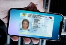 Как предъявлять электронные водительские права и заменят ли они оригинал? | ГИБДД | Авто