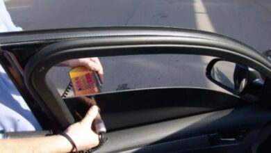 Депутат Нилов призвал не штрафовать водителей за тонировку боковых стекол