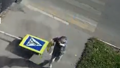 Россиянка чудом осталась жива, отскочив от упавшего при ДТП дорожного знака