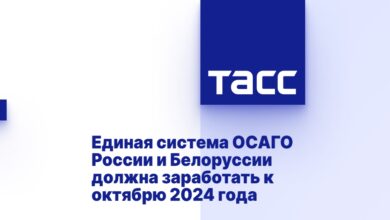Единая система ОСАГО России и Белоруссии должна заработать к октябрю 2024 года