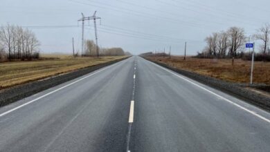 Что ответил Путин омичке о расширении трассы Тюмень – Новосибирск? | ВОПРОС-ОТВЕТ