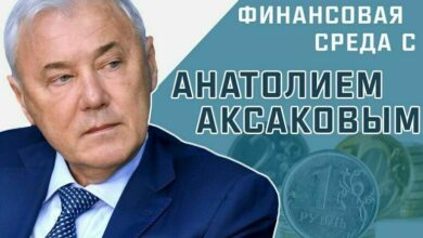 Анатолий Аксаков расскажет, когда будет можно купить ОСАГО на сутки